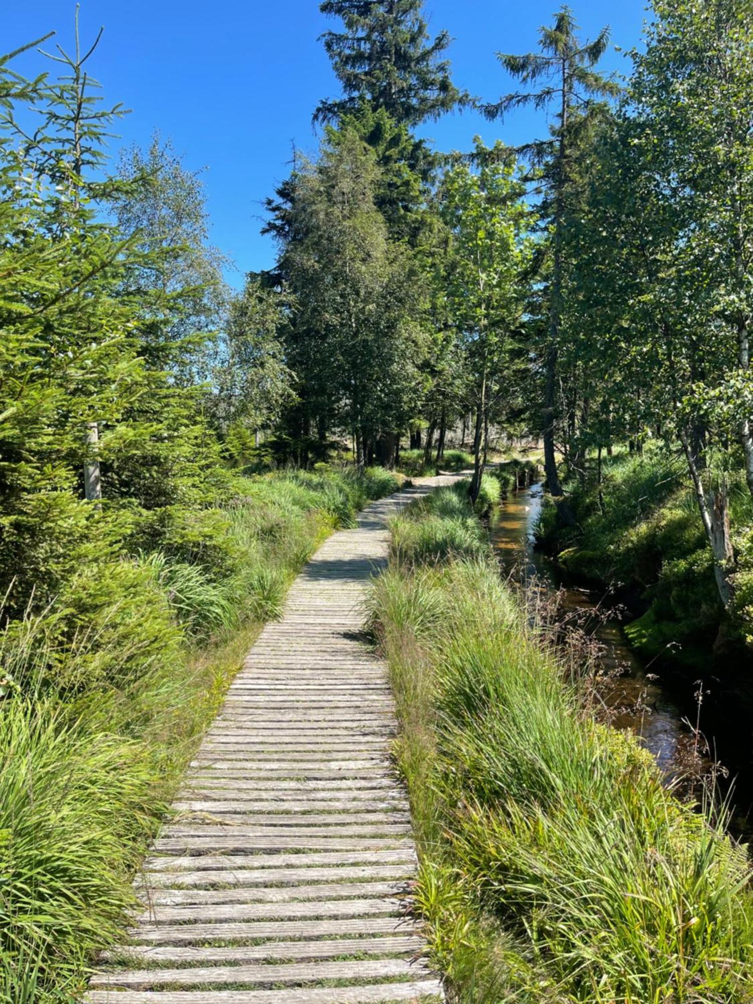 Harz Escape Apartment Torfhaus Ngoại thất bức ảnh